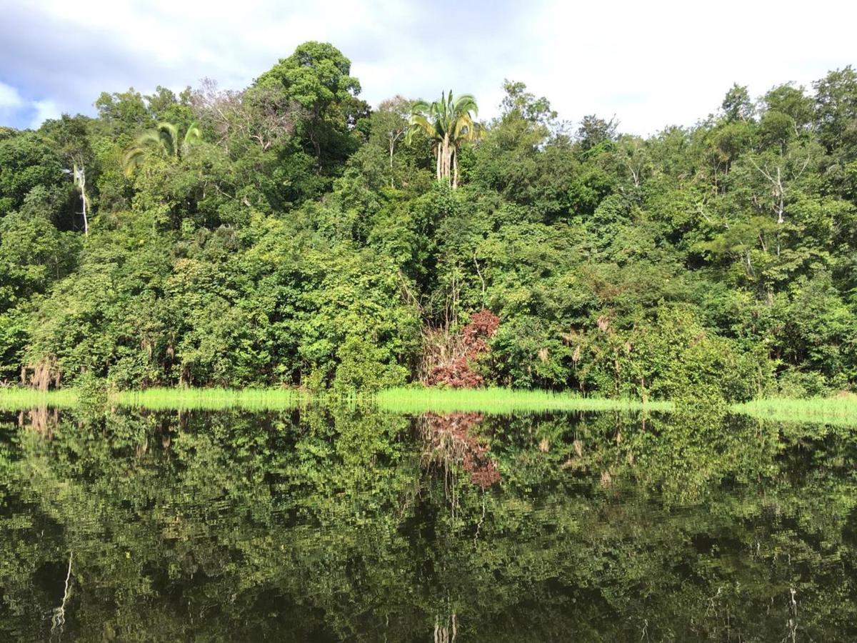 Amazon Arowana Lodge Careiro Eksteriør billede