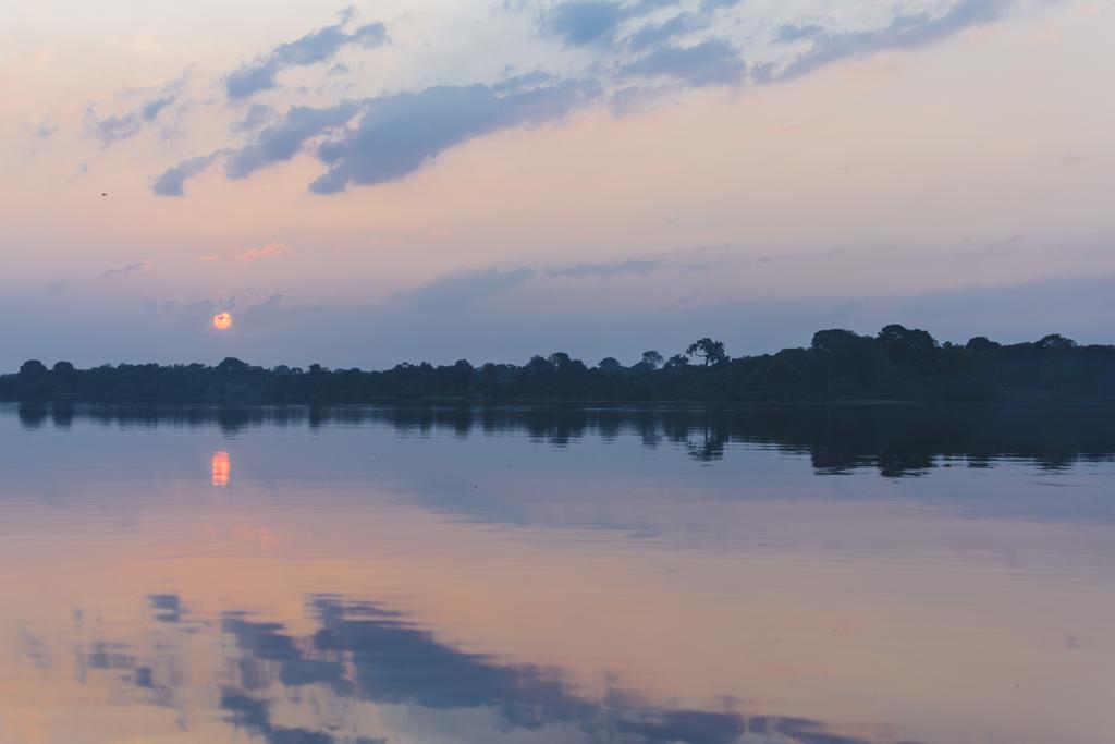 Amazon Arowana Lodge Careiro Eksteriør billede