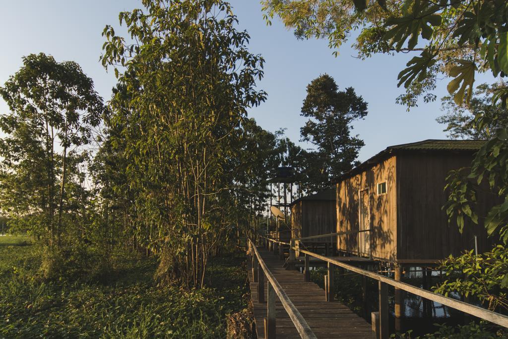 Amazon Arowana Lodge Careiro Eksteriør billede